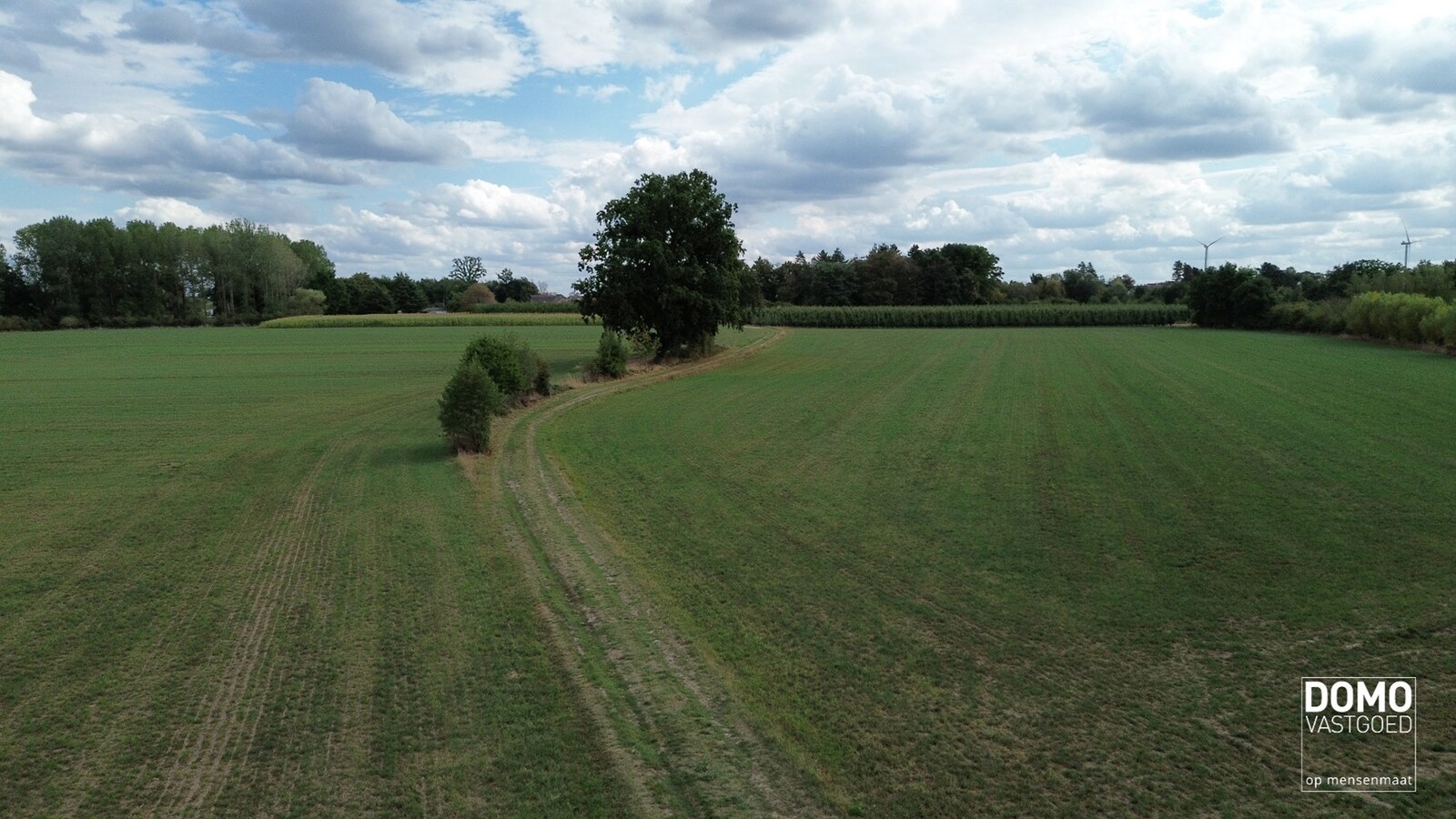 UNIEK DOMEIN MET OFF-GRID VAKANTIEWONING, SCHUUR EN 2 VIJVERS OP 1 HA 41 A 