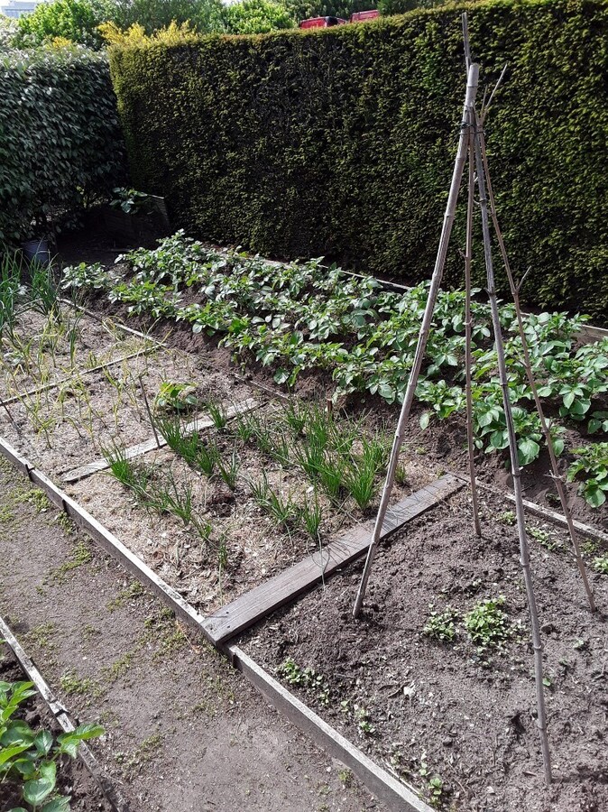 Ruime, stijlvolle villa op 21 are, vlot bereikbaar E17 (Kortrijk - Gent) 