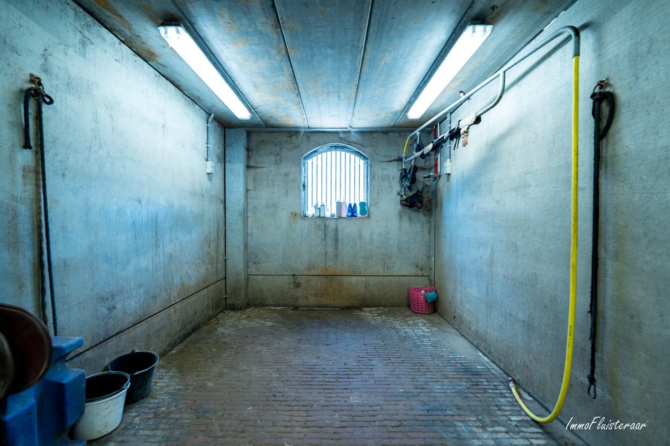 Goed gelegen langgevelhoeve met paardenstallen op ca. 3,5 ha. 