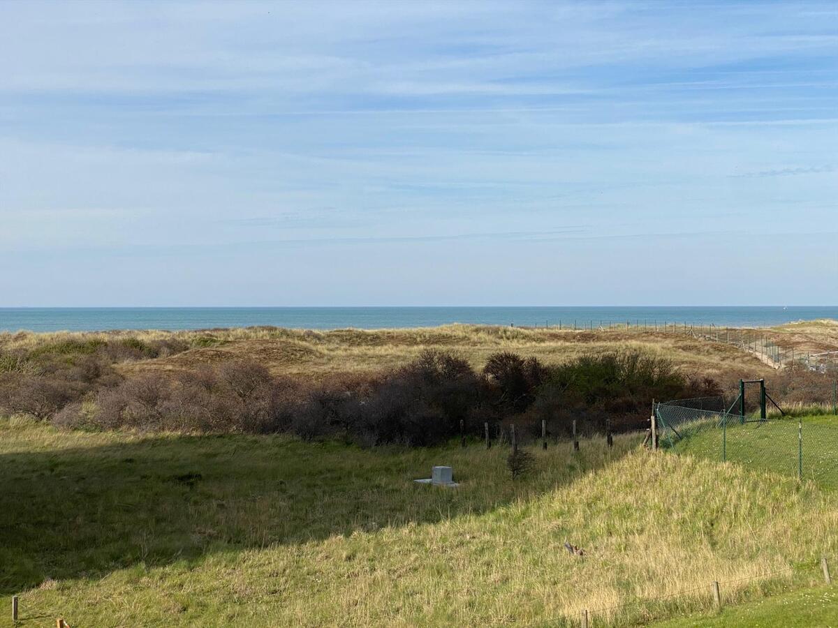 Appartement met 1 slaapkamer en terras in De Panne 