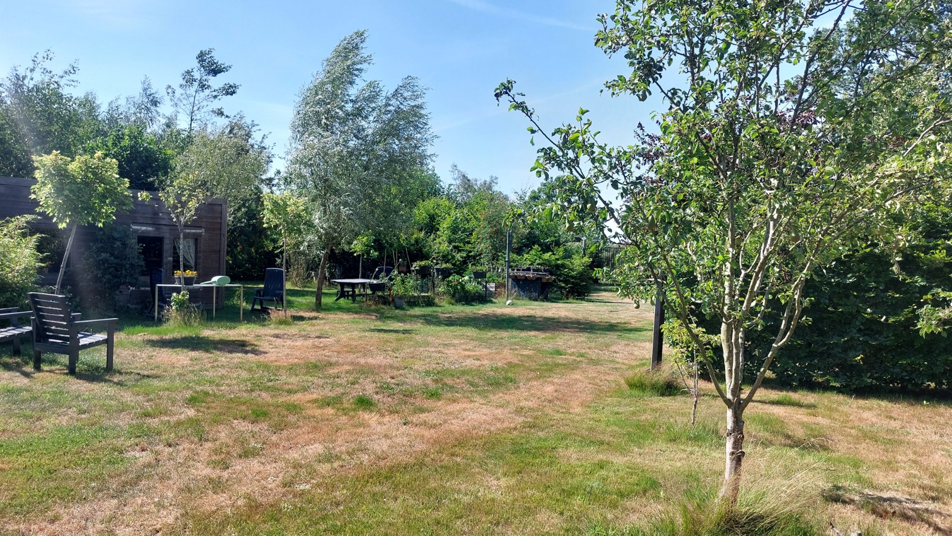 Bos te koop in Weert