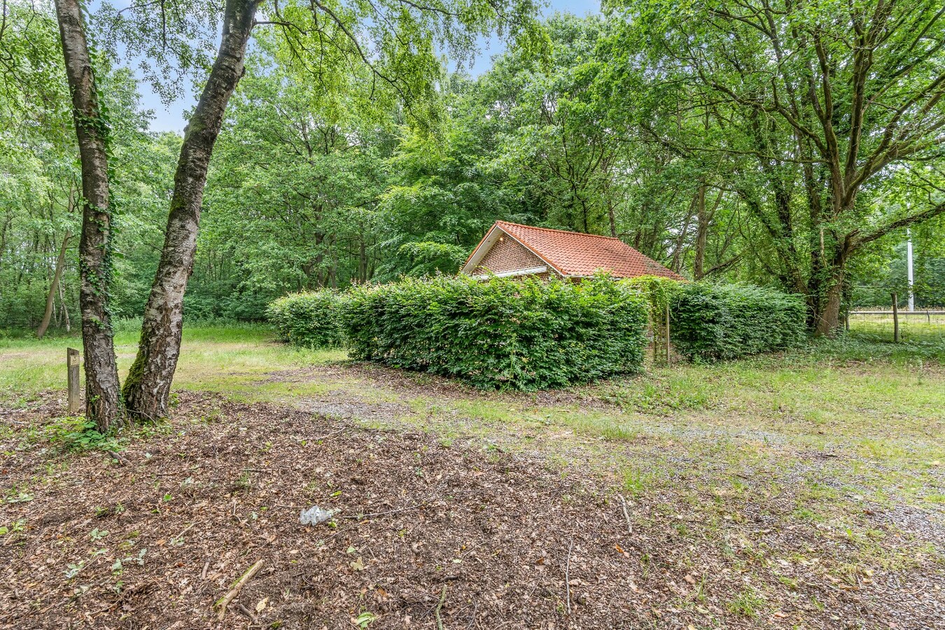 Authentiek horecapandje ideaal voor een healthy coffee-, lifestyle- en natuurconcept in het Dilserbos-Sparrendal. 