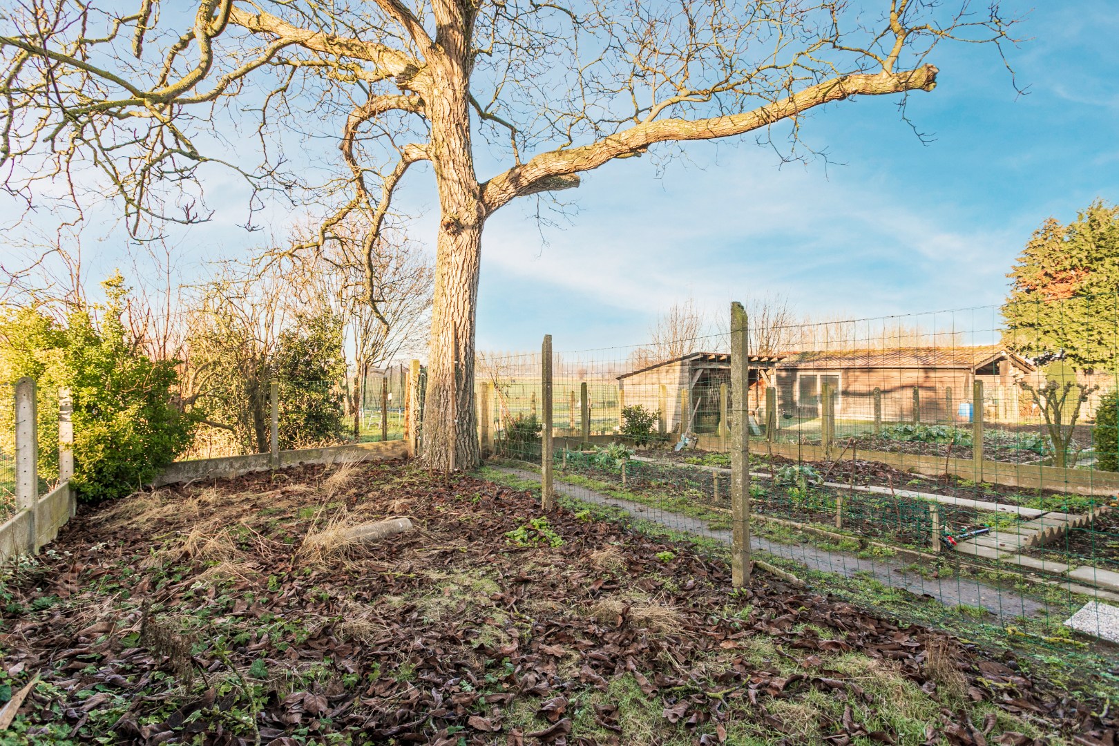 Te renoveren rijwoning met tuin te Vlezenbeek 