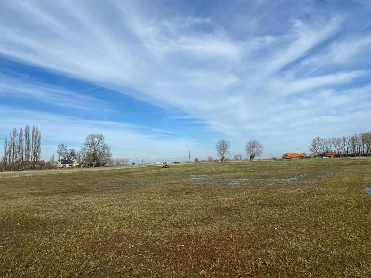 Ruim perceel landbouwgrond nabij de Noorbroekstraat, Woumen van 1ha01a40ca 