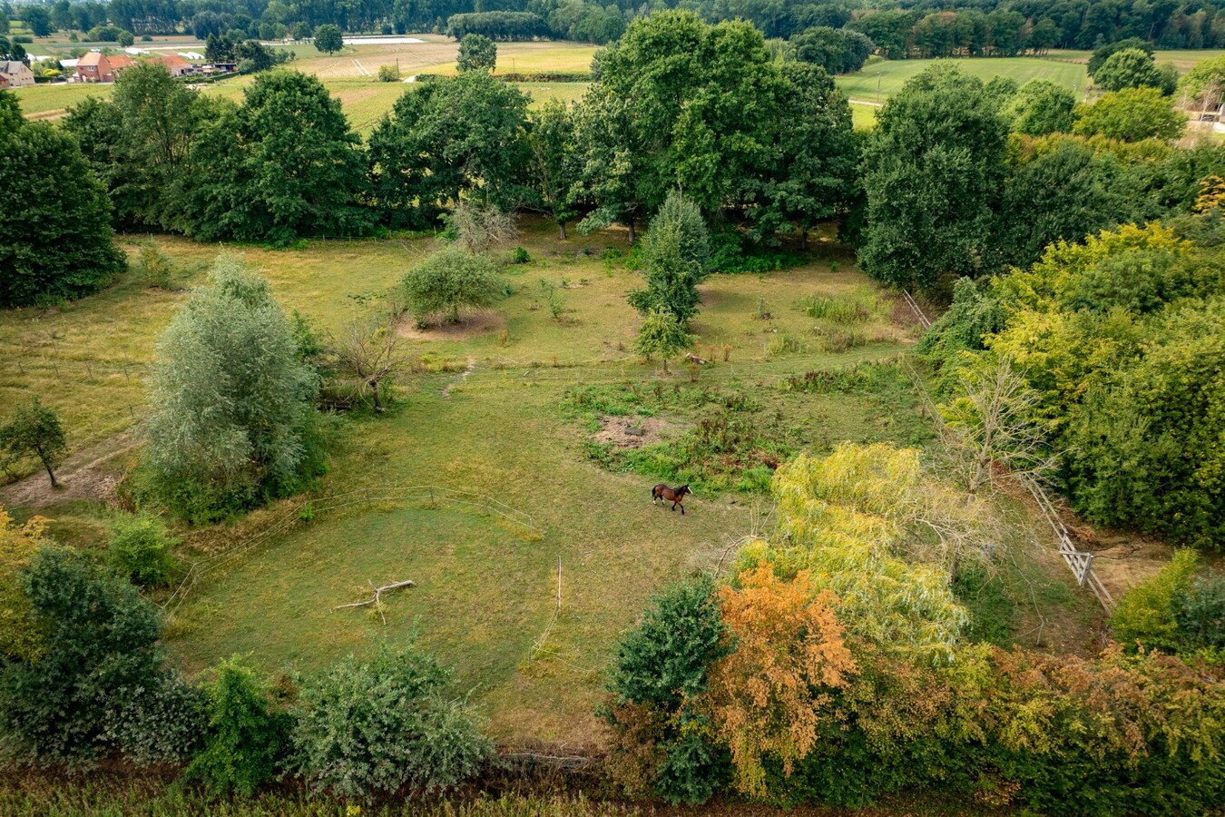 Karaktervolle hoeve met weides op ca. 2ha te Herk-de-Stad 