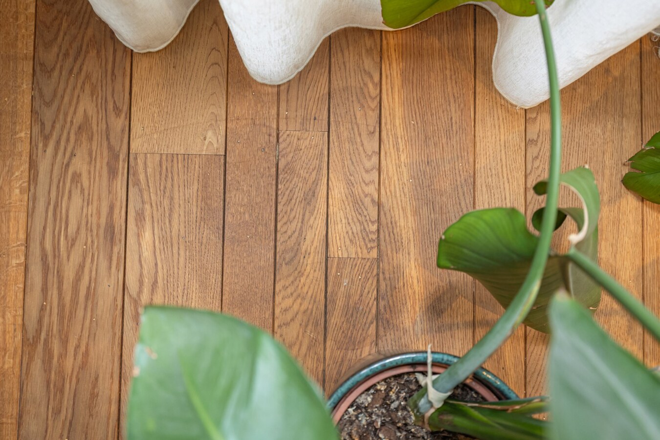 Ruim triplex appt met 2 slpk en dakterras nabij 't Zuid! 