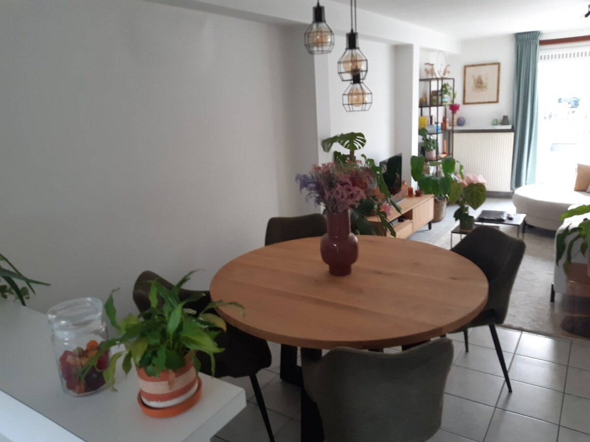 Aangenaam 1-slp-appartement met ruim terras. 