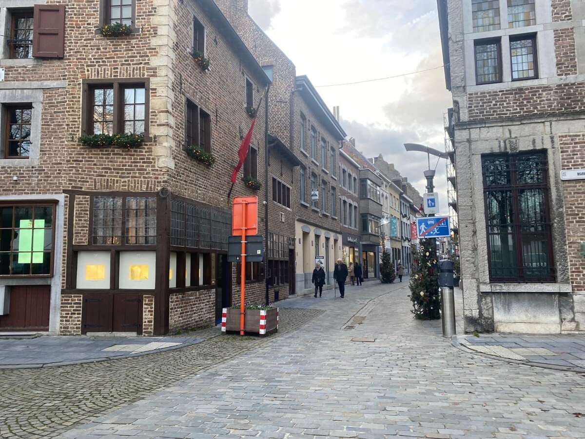 Burgerhuis 'Den Golden Naegel' - aan de Markt - lift - overdekte parking - IN PRIJS VERLAAGD! 