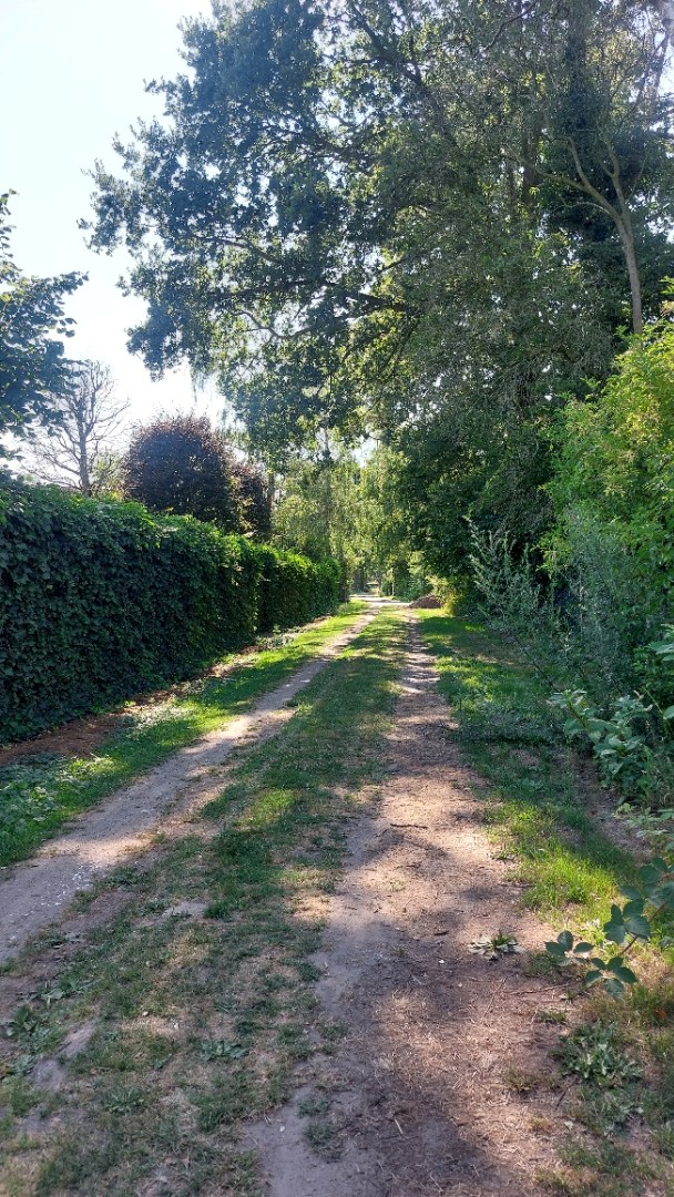 Bos te koop in Weert