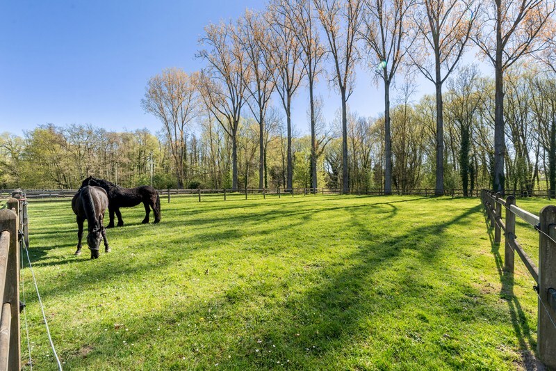 Moderne villa met hippisch complex op 15.856m² 