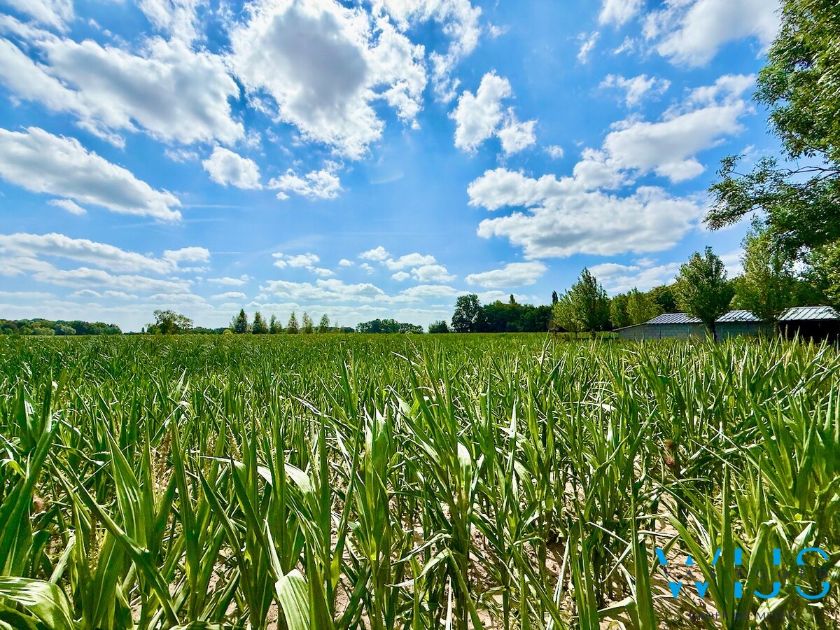 Ruime bungalow op 1000m² met prachtig uitzicht te Boekhoute ! 