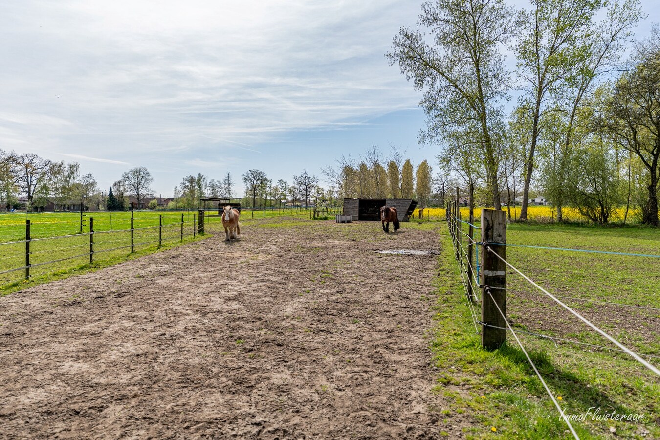 Woning met stalgebouwen en buitenpiste op ca. 6ha te Bocholt 