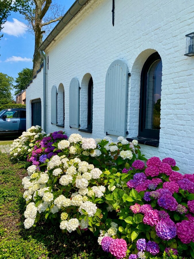 Karaktervolle hoeve op 945 meter-kangoeroewoning mogelijk 