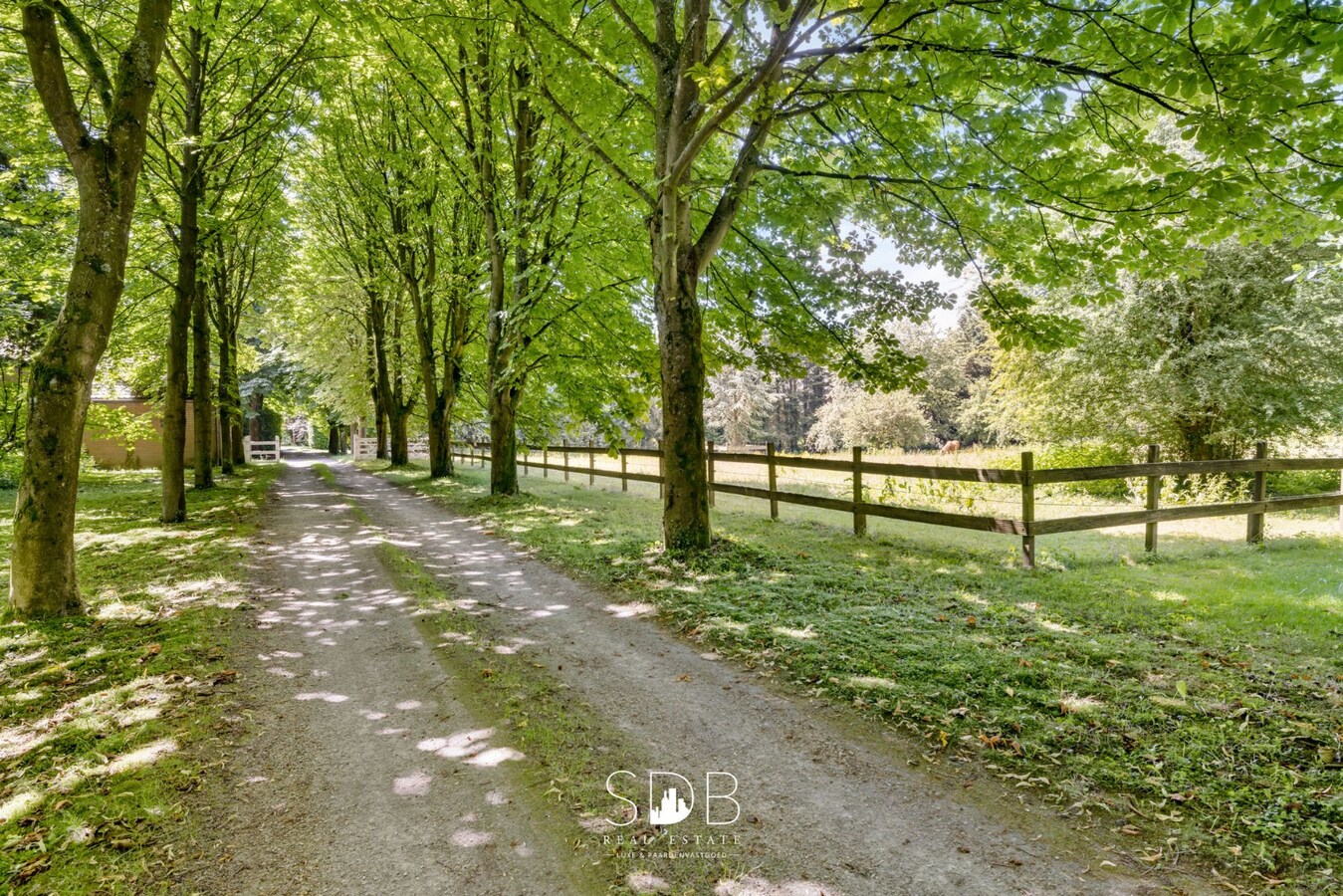 weiland, Hoeilaart, paarden