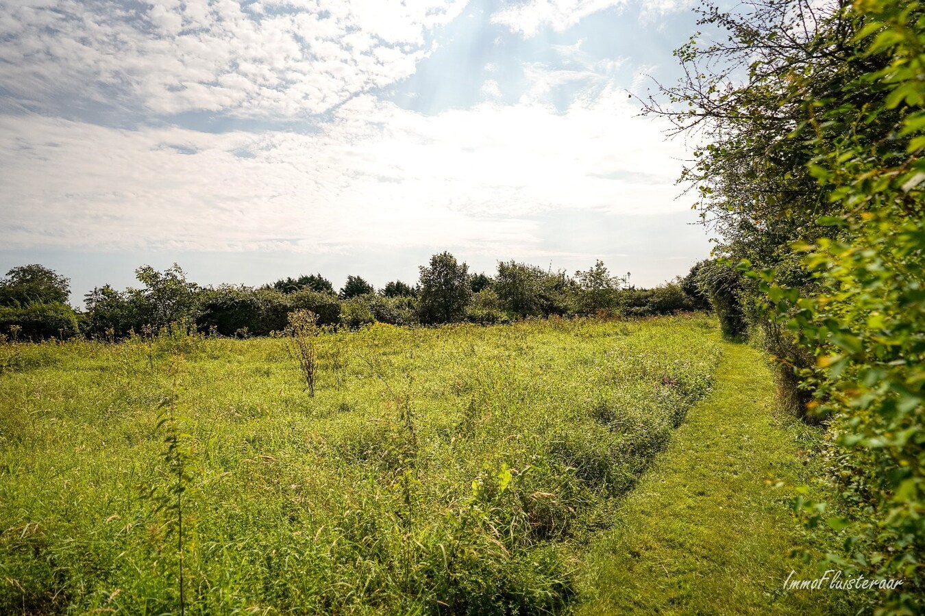 Royale, luxueuze villa met bijgebouwen op ca. 66a te Arendonk 