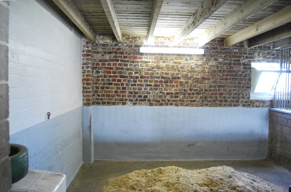 Idyllische woning met stalgebouwen op ca. 5000m² te Sint-Laureins 