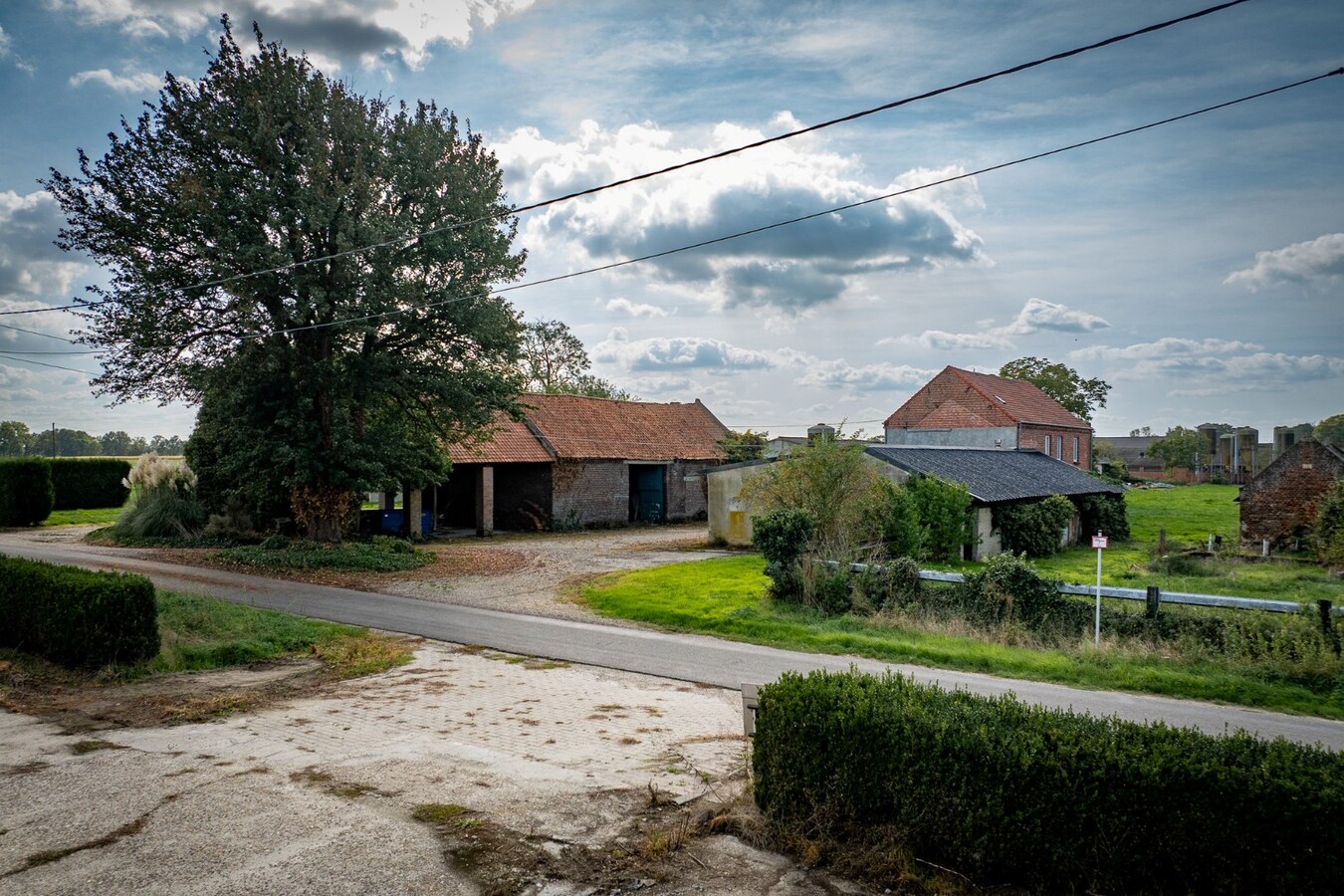 Hoeve met stalgebouwen op ca. 1ha te Bree 