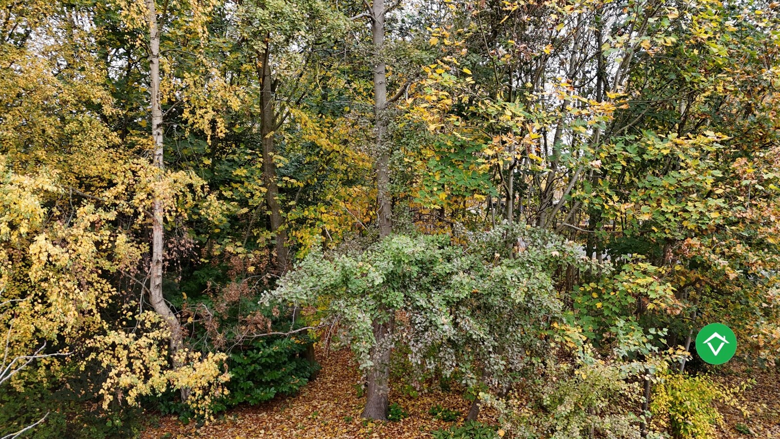 Ruime bungalow op 4140 m² met prachtige zichten en absolute rust in Torhout 