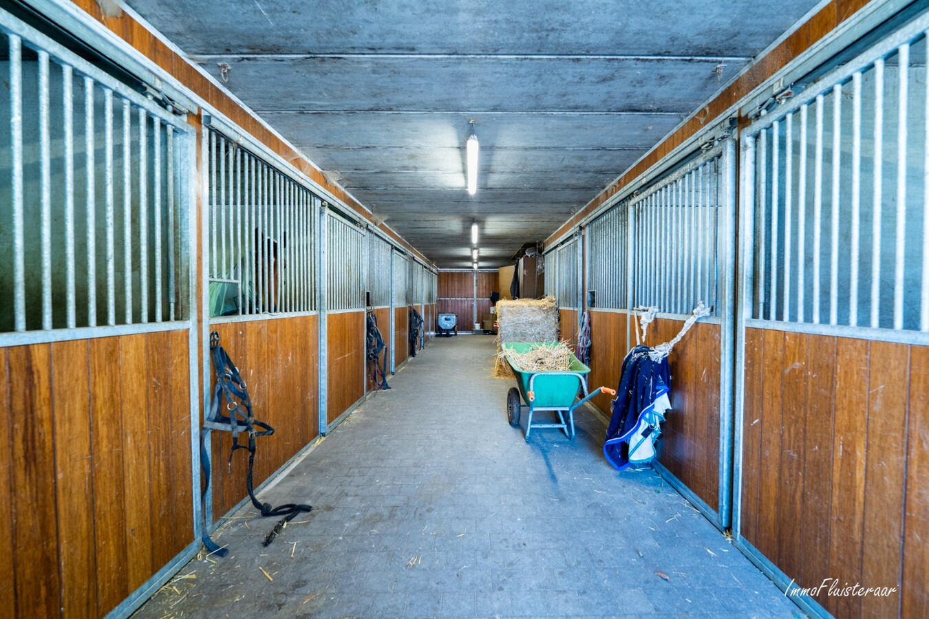 Goed gelegen langgevelhoeve met paardenstallen op ca. 3,5 ha. 