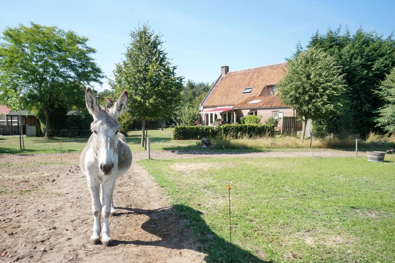 Verkocht boerderij - Merksplas