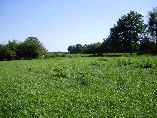 Farm sold in Turnhout