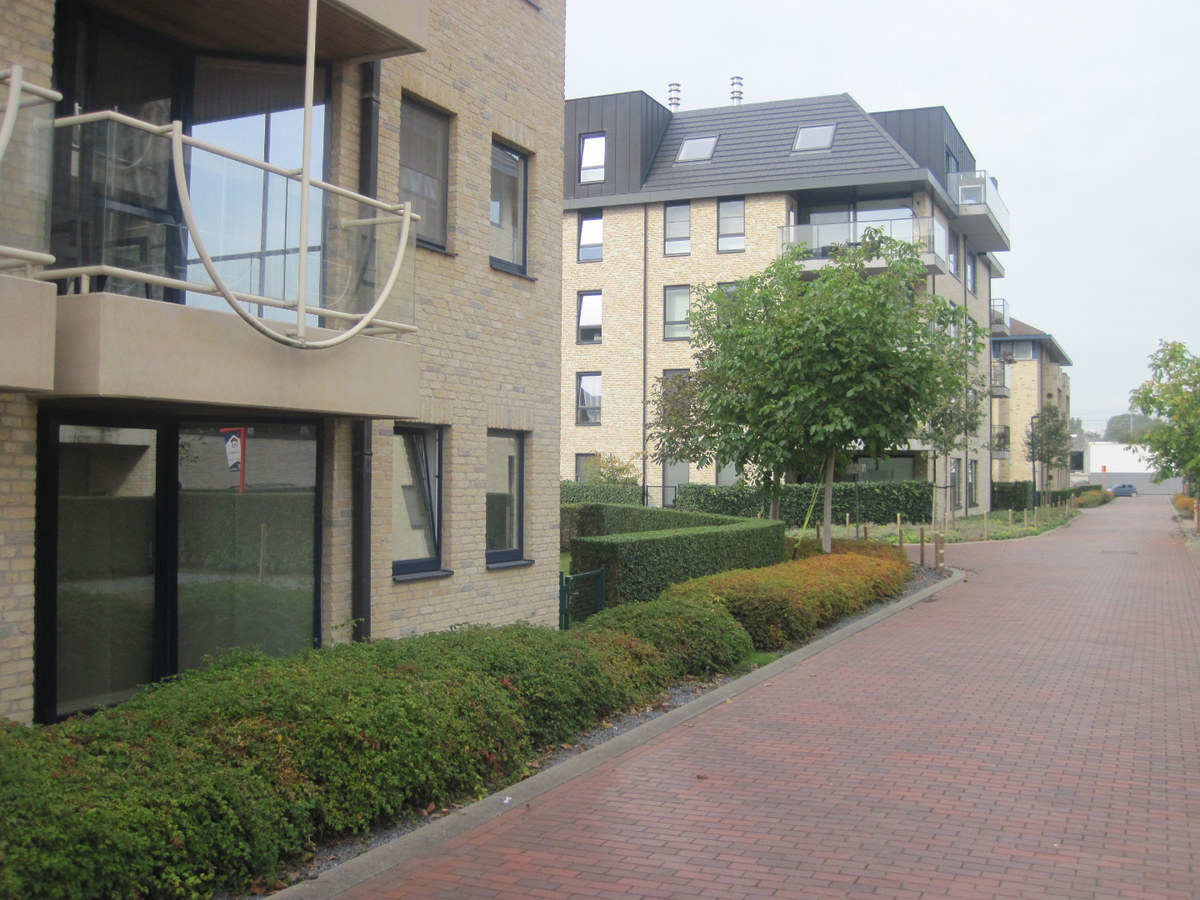 Aangenaam 1-slp-appartement nabij Station (in t groen met terras). 