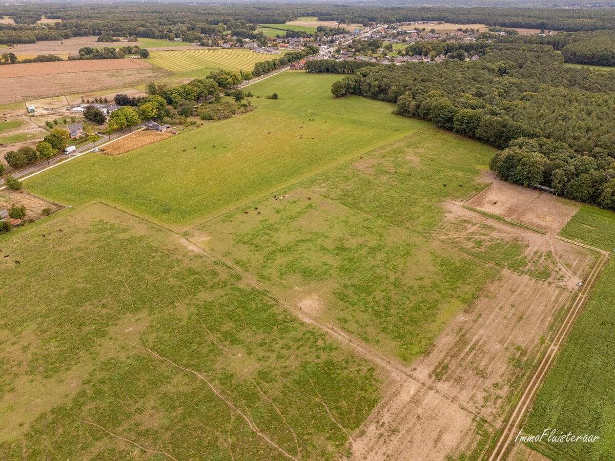 Unieke eigendom met veel potentieel en uitbreidingsmogelijkheden op ca. 4 ha in Gruitrode (Oudsbergen) 