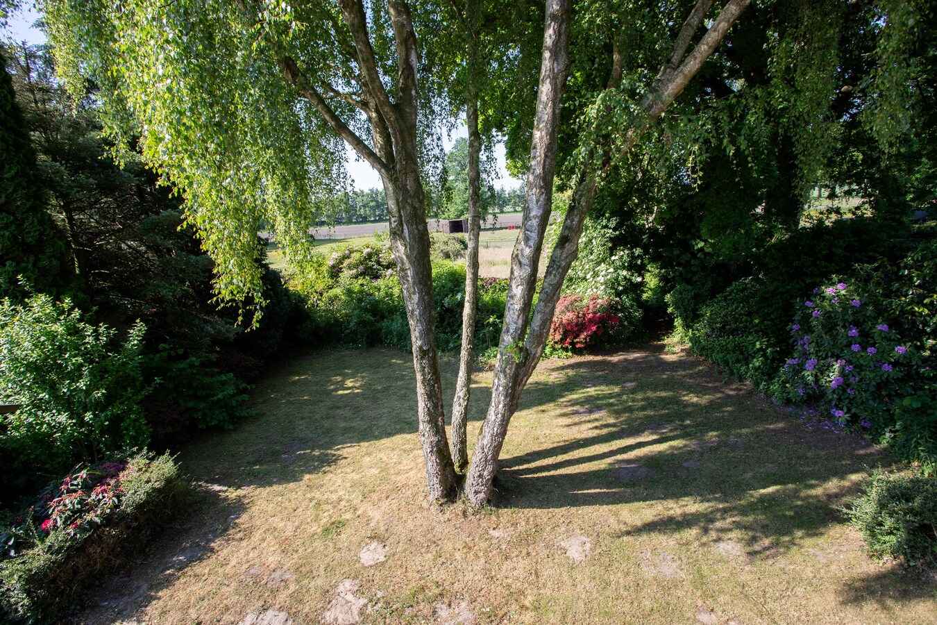 Royale vrijstaande gezinswoning gelegen op 500m2 in het centrum van Hoogeloon. 