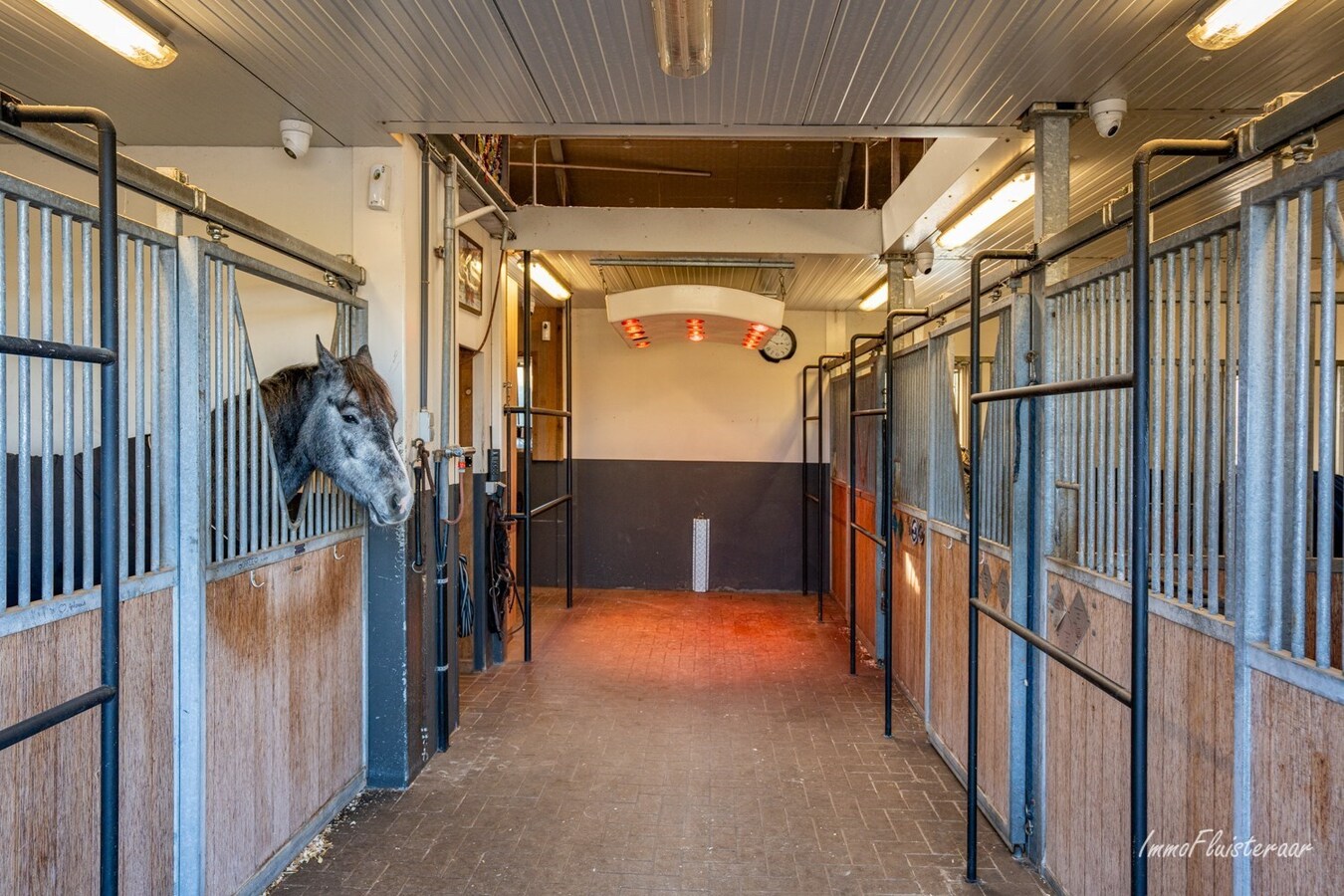 Villa exclusive avec des installations équestres sur environ 1,3 ha à Sint-Katelijne-Waver 