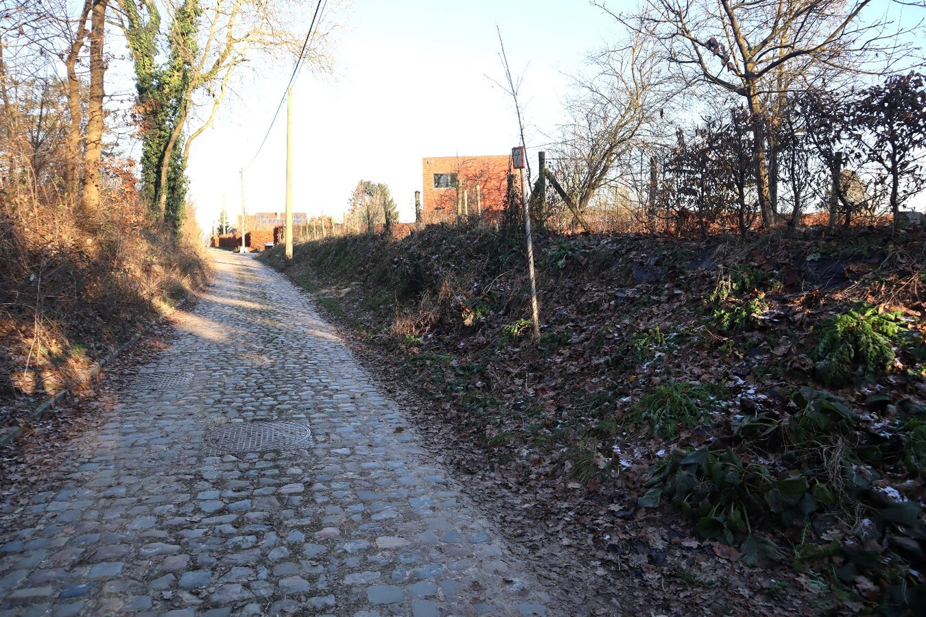 Prachtig gelegen bouwgrond te Bierbeek voor open bebouwing 9 are 45 ca 