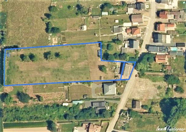 Maison à rénover (1900-1950) avec annexes et prés sur plus de 60a à Geetbets (Brabant Flamand) 