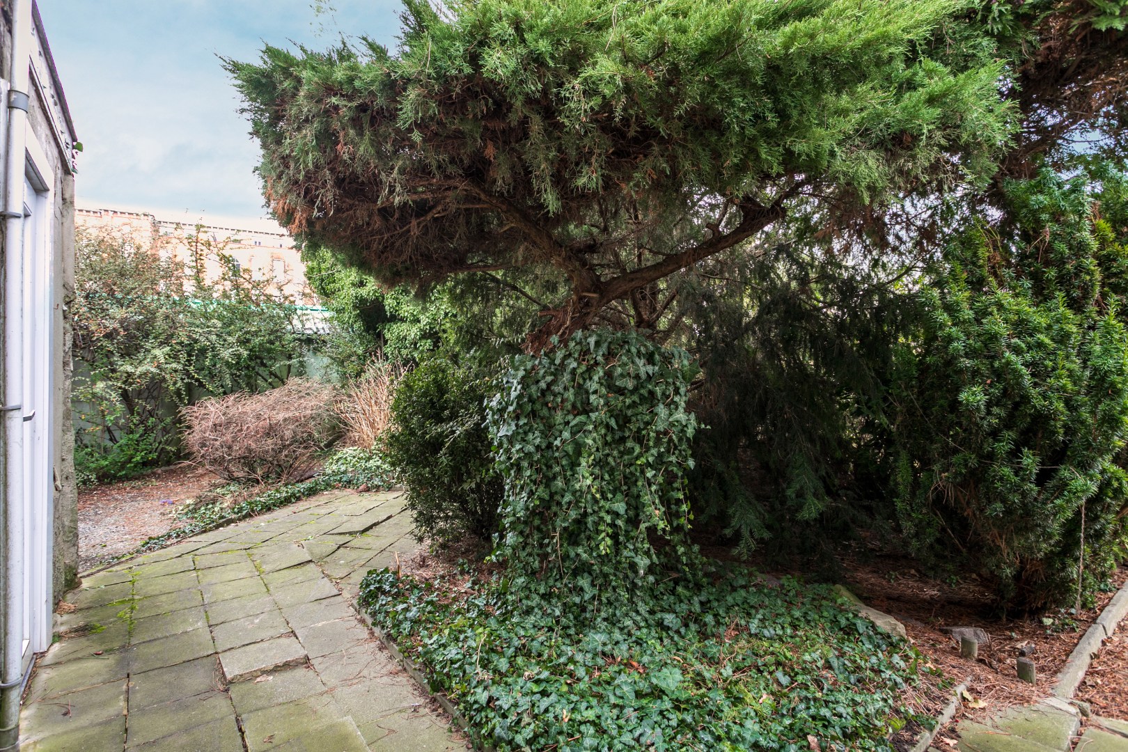 Ruime woning met 4 slpk en tuin 