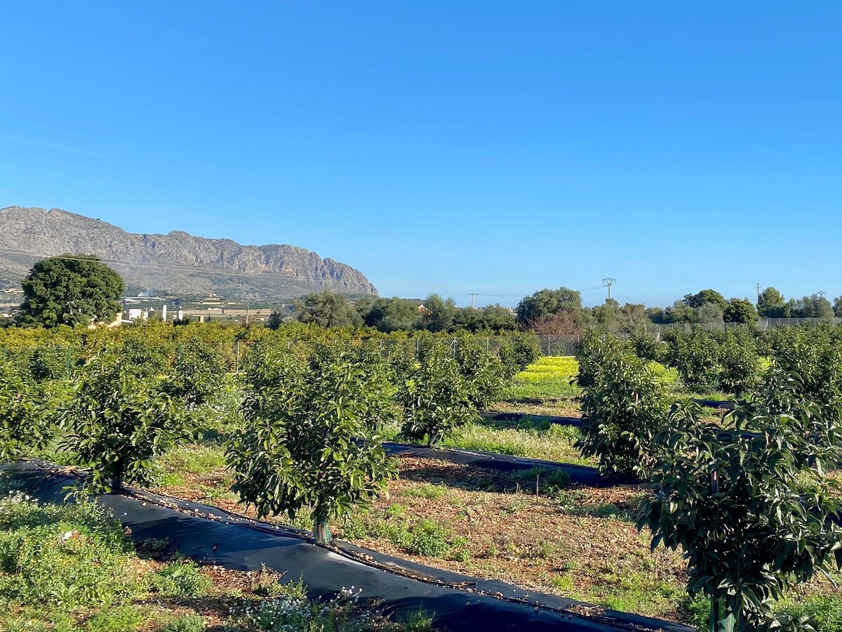 Villa te koop in Monte Solana