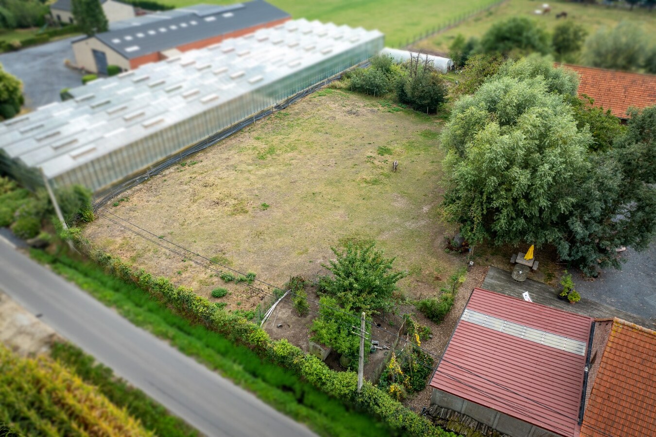 Charmante hoeve met weiland op 4.029 m² 