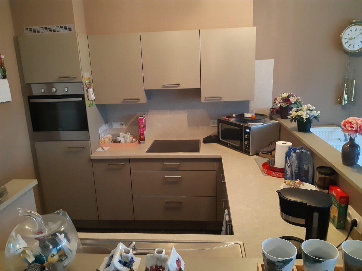 Ruim appartement met 2 terrassen. 