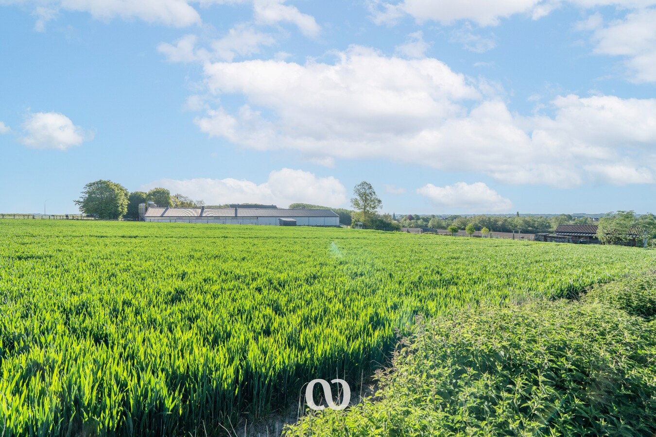 Woning te huur in Kruisem