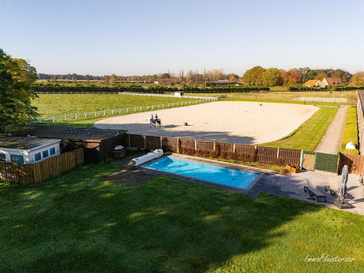 Volledig uitgeruste paardenaccommodatie op ca. 4,2 ha nabij Herentals 