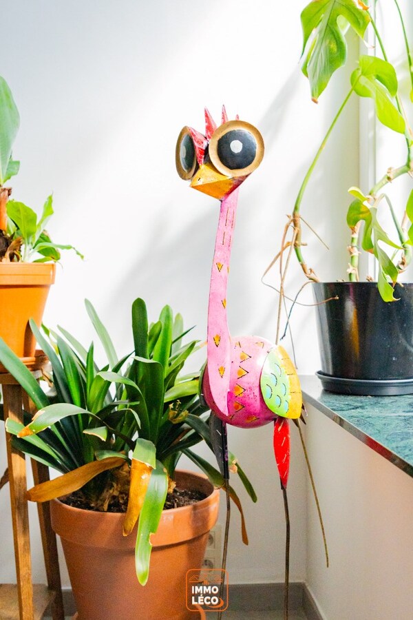 Grande maison avec surface commerciale, en plein centre-ville, COUP DE COEUR absolu ! 