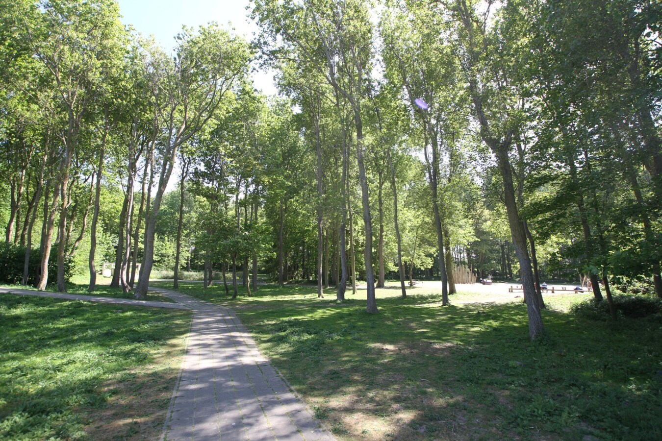 Uitzonderlijk groot (+- 170 m²!!) gelijkvloers appartement vlakbij het strand - Heist 