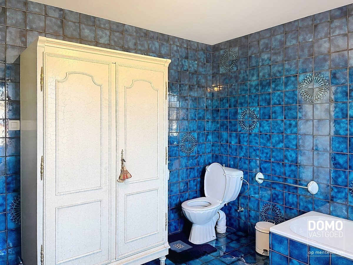 RUIME WONING MET 4 SLAAPKAMERS OP RUSTIGE LOCATIE IN DORNE (MAASEIK) 