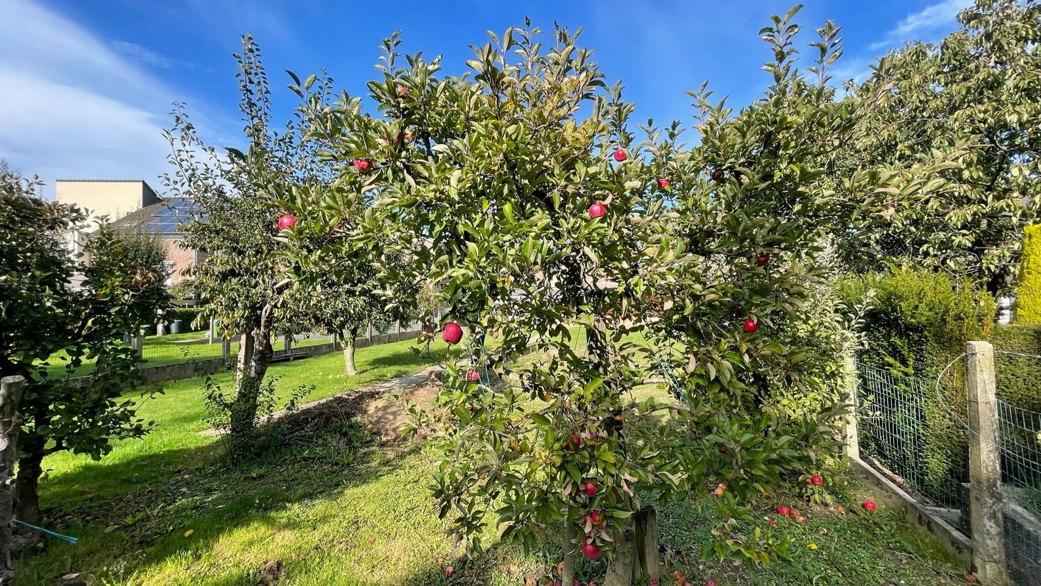 Ruime, te renoveren gezinswoning op zuidgericht perceel van 739 m² 