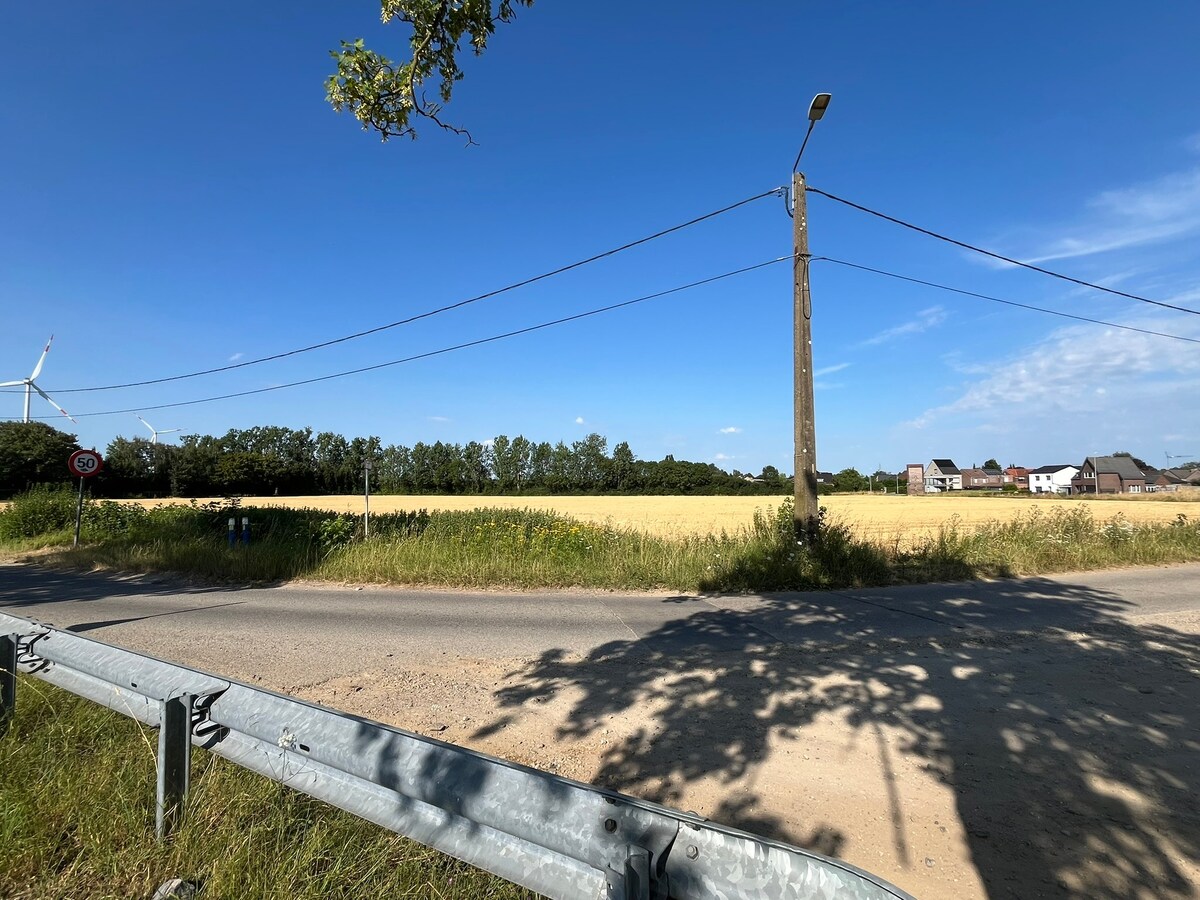 Boorsem: Perceel landbouwgrond 3ha 37a 61ca 