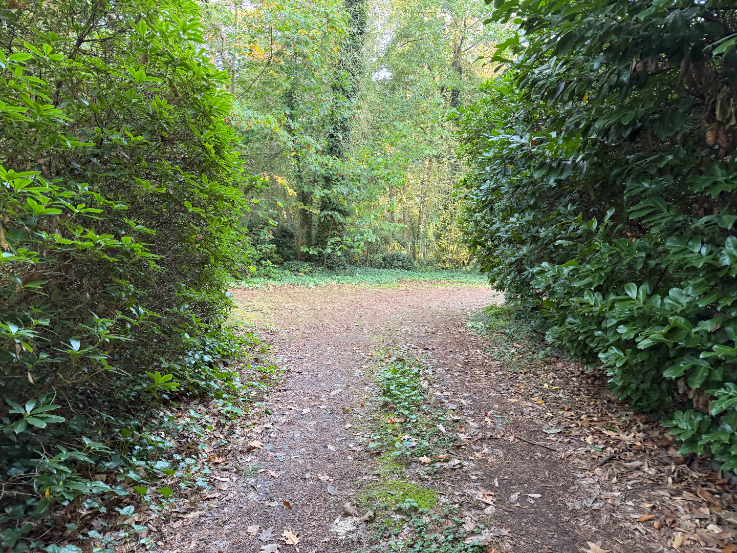 Rustig wonen midden in de bossen op een perceel van 2.005 m² in Schilde 