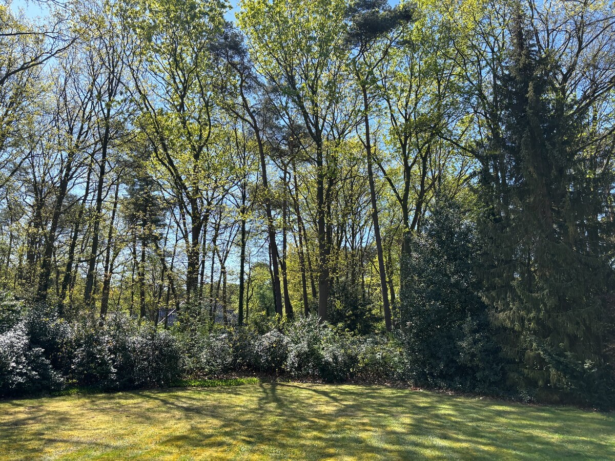 Klassieke villa op een perceel van 3.890 m² met een straatbreedte van 40 meter en Zuid-Oriëntatie te Schilde 