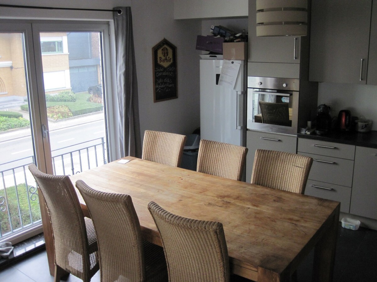 Lichtrijk appartement in Zingem 