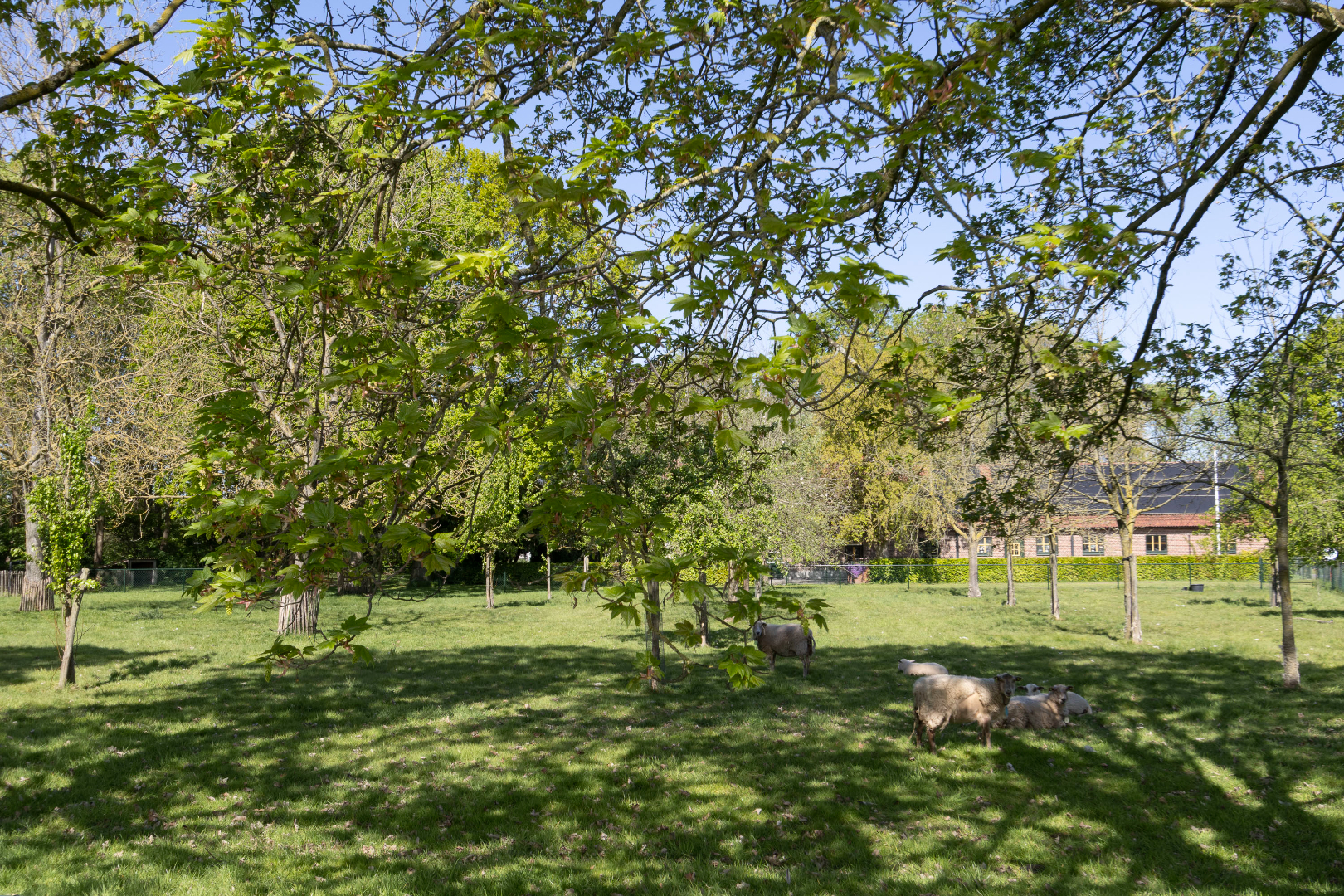 Woonboerderij te koop in Weert
