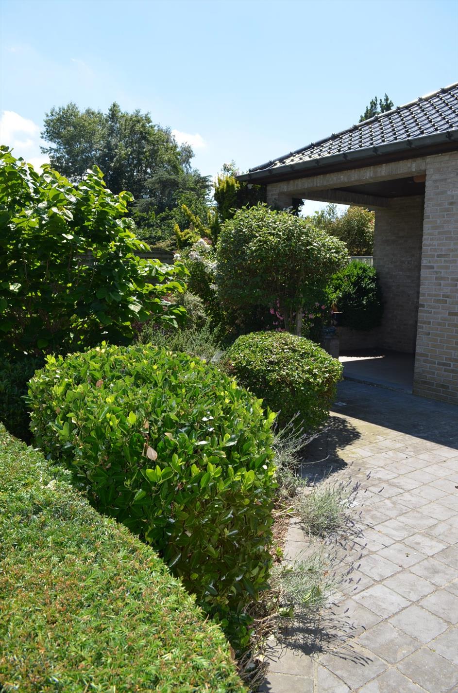 Open bebouwing op 630 m² met 3 slpks, carport en tuin te Maldegem 