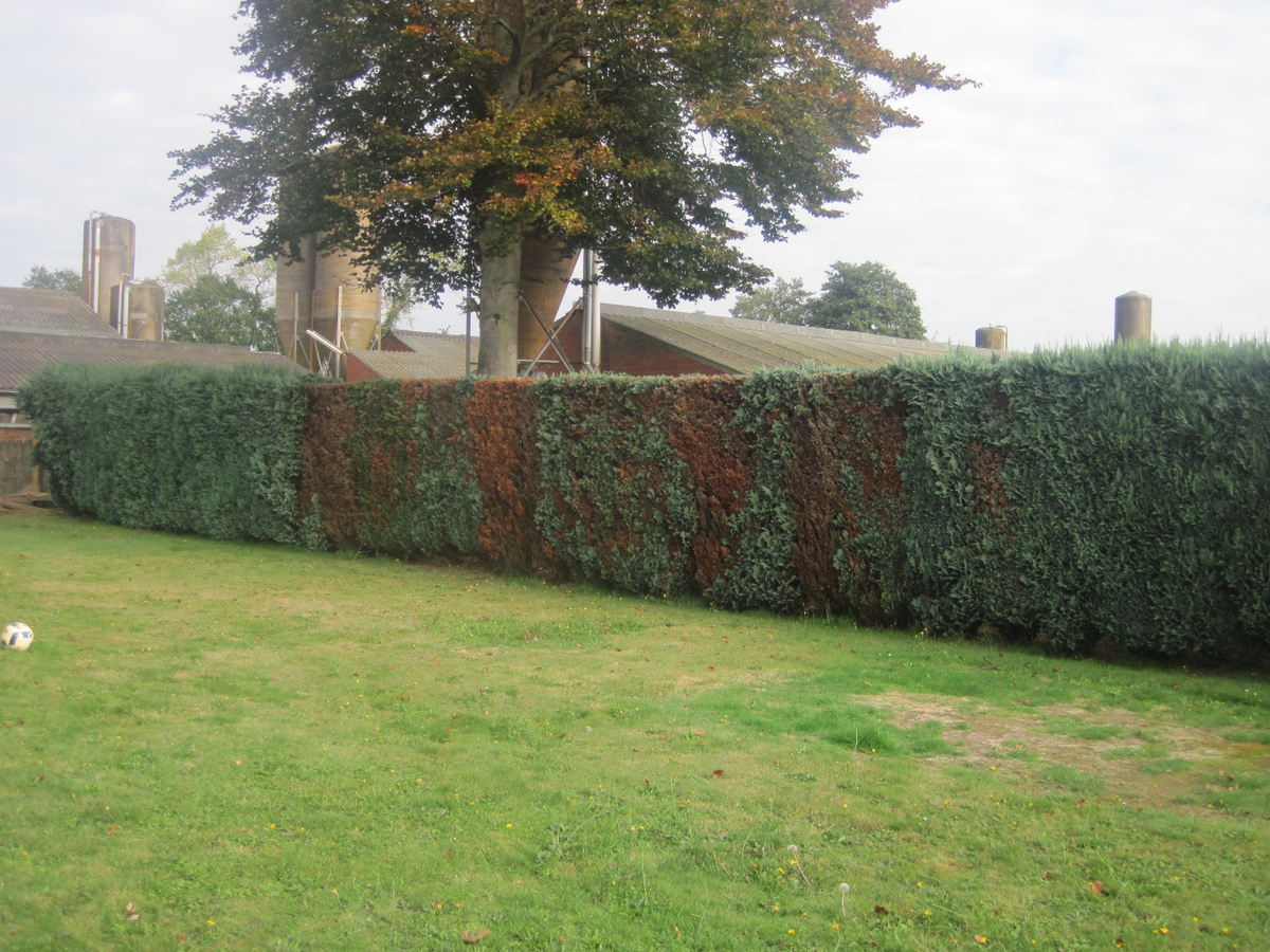 Degelijke gelijkvloerse woning. 