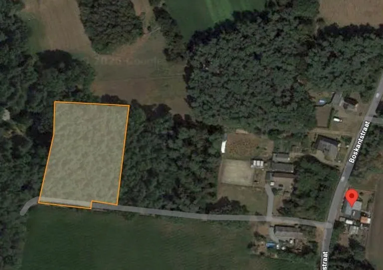 Te koop bos - Beverlo