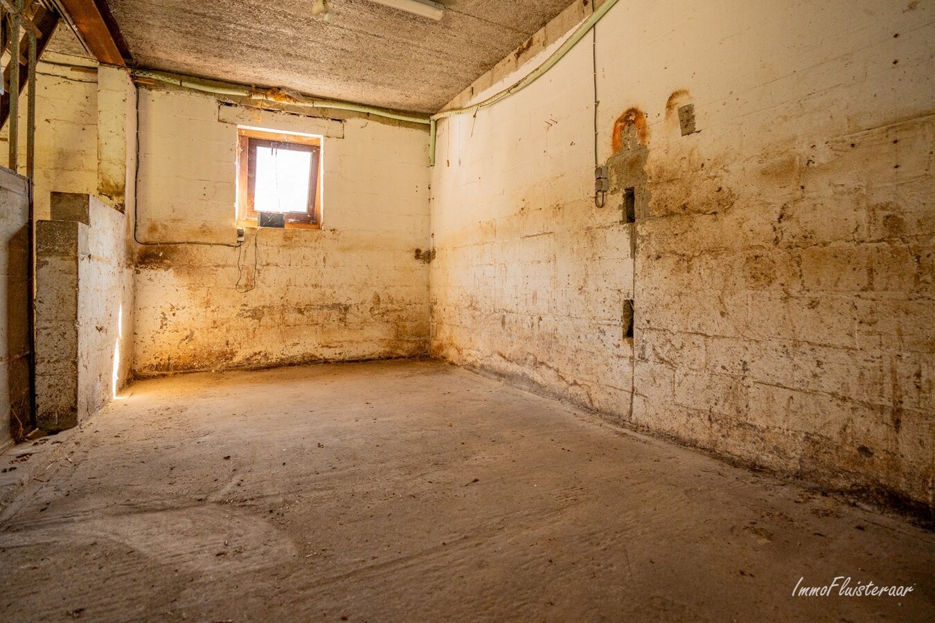 Maison soignée avec 4 écuries sur environ 75 ares à Tielt-Winge (Brabant flamand) 